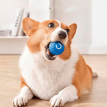 PELOTA DE JUGUETE INTELIGENTE PARA MASCOTAS