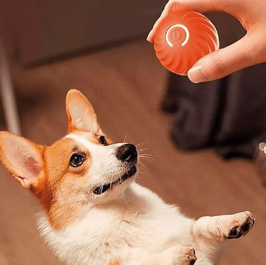 PELOTA DE JUGUETE INTELIGENTE PARA MASCOTAS