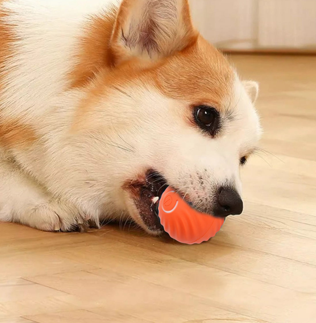 PELOTA DE JUGUETE INTELIGENTE PARA MASCOTAS